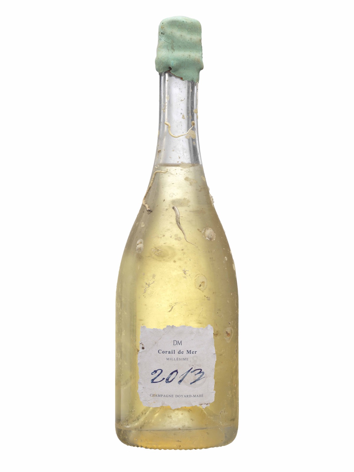 Bouteille Corail de Mer millésime 2013, couverte de concrétions marines après un an à 60 m de fond